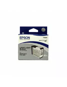 Cartuccia Originale Epson T580900 (Nero Chiaro Chiaro)