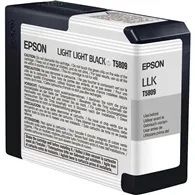 Cartuccia Originale Epson T580900 (Nero Chiaro Chiaro)