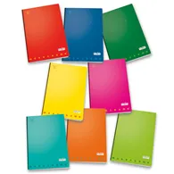 Quaderno Monocromo 100 Pigna - A4 - Righe Prima e Seconda Elementare con Margini - 02298880A (Assortiti Conf. 10)