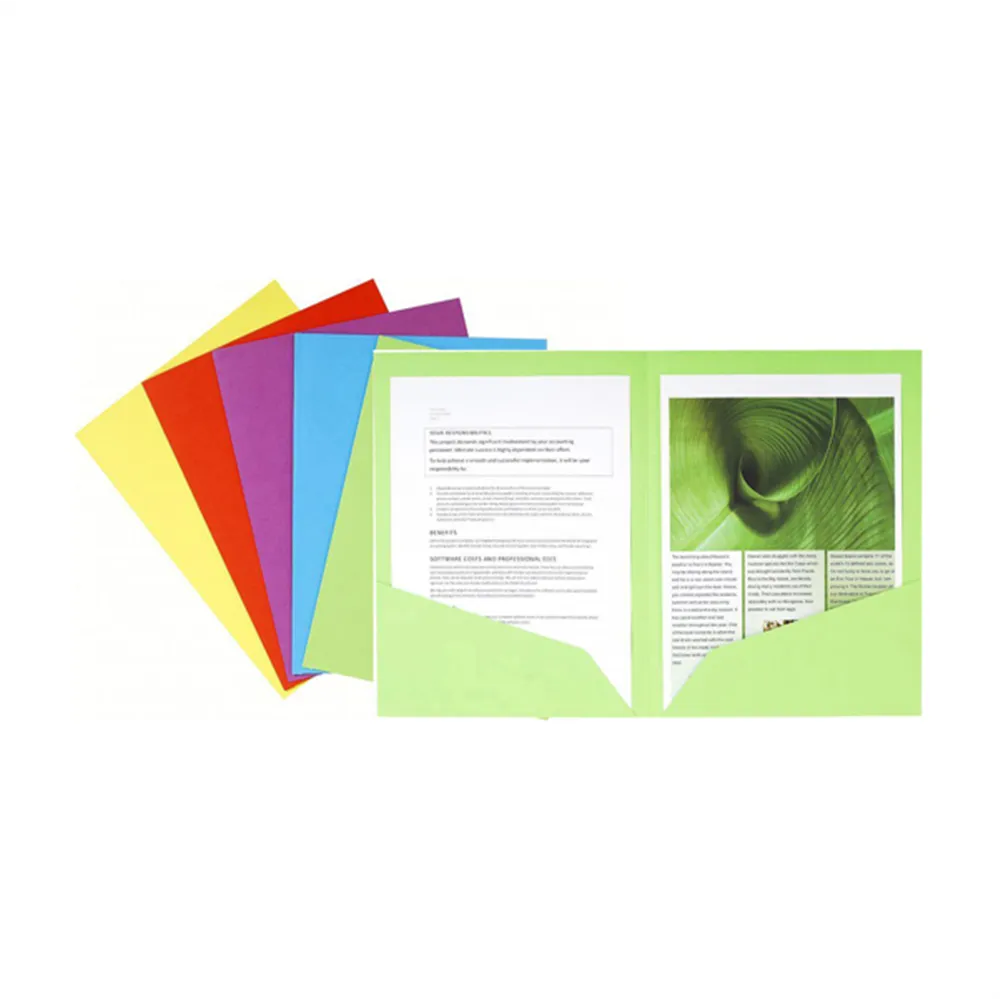 Cartellina in Cartoncino Bahia Exacompta - Doppia Tasca - 24x32 cm - 220 g - 415000E (Assortiti Conf. 25)