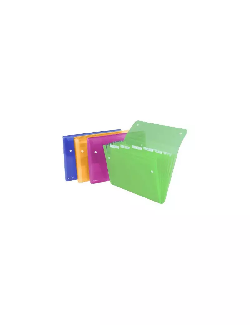 Archiviatore a Soffietto Ice Rexel - 13 Tasche - 2102034 (Assortiti) Archiviatore a Soffietto Ice Rexel - 13 Tasche - 2102034 (Assortiti)