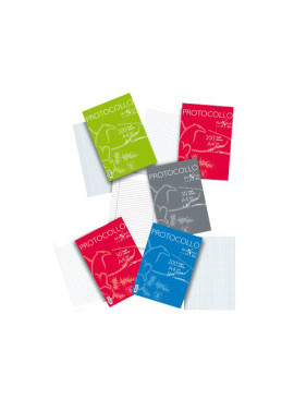 Fogli Protocollo Pigna - Quadretti 5 mm senza Margini - 80 g - 02156215M (Conf. 200)