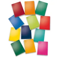 Quaderno Monocromo Pigna - A4 - 1 Rigo con Margini - 02298870C (Assortiti Conf. 10)