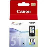 Cartuccia Originale Canon CL-511 2972B001 (Colore 245 pagine)