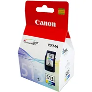 Cartuccia Originale Canon CL-513 2971B001 (Colore 350 pagine)