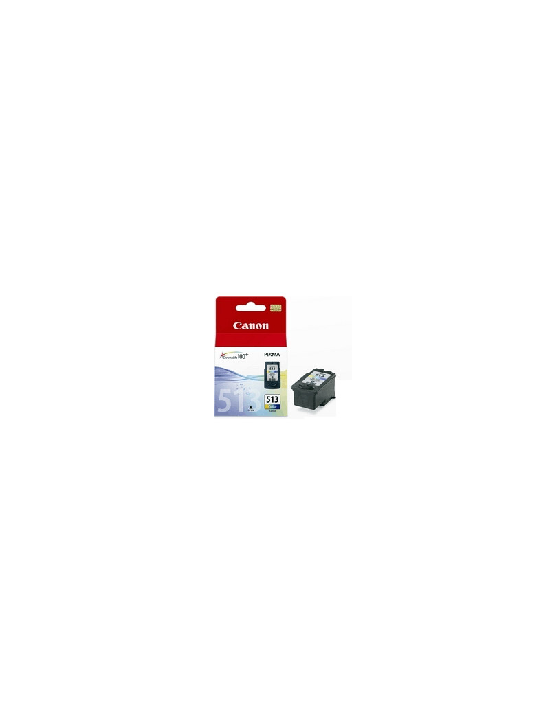 Cartuccia Originale Canon CL-513 2971B001 (Colore 350 pagine) Cartuccia Originale Canon CL-513 2971B001 (Colore 350 pagine)