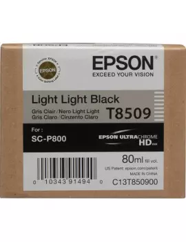 Cartuccia Originale Epson T850900 (Nero Chiaro Chiaro 80 ml)