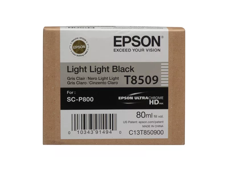 Cartuccia Originale Epson T850900 (Nero Chiaro Chiaro 80 ml)