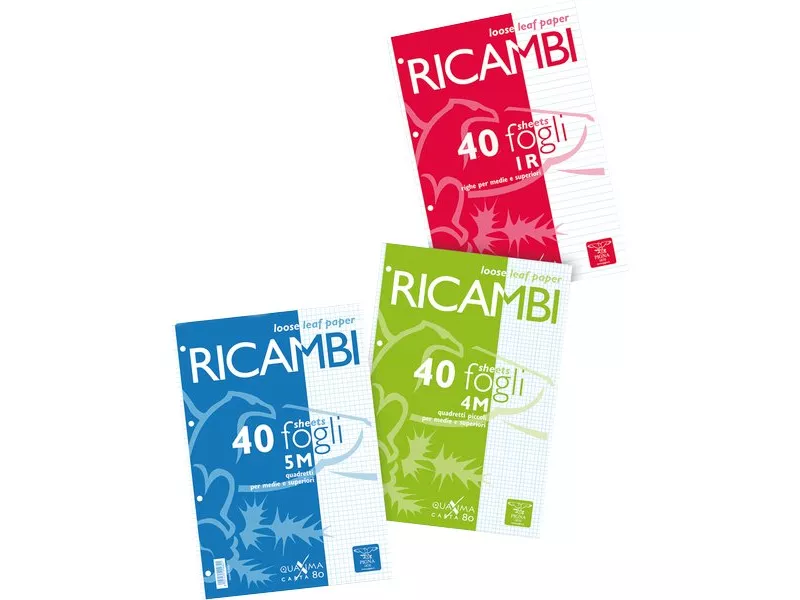 Ricambi Bianchi per Quaderni Pigna - A4 - Quadretti 4M senza Margini (Conf. 40) Ricambi Bianchi per Quaderni Pigna - A4 - Quadretti 4M senza Margini (Conf. 40)