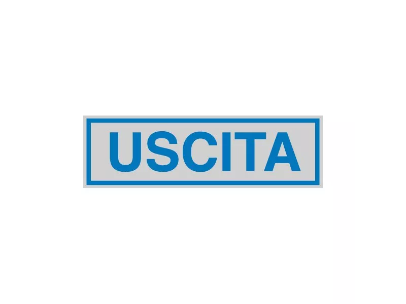 Cartello Segnaletico Adesivo - 165x50 mm - Uscita (Conf. 10)