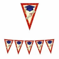 Festone PVC - 6 m - Laurea Class