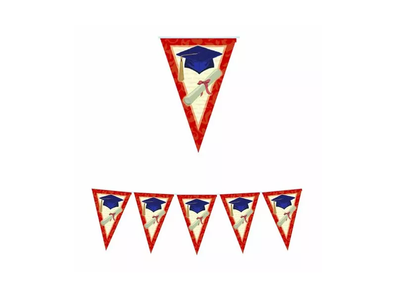 Festone PVC - 6 m - Laurea Class