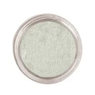 Trucco ad Acqua - Argento