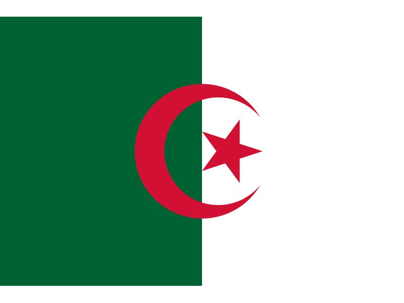 Bandiera - Algeria - 30x20 cm Bandiera - Algeria - 30x20 cm