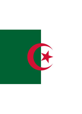 Bandiera - Algeria - 30x20 cm