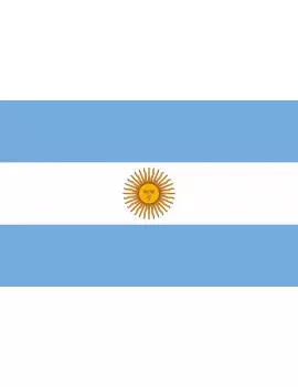 Bandiera - Argentina - 30x20 cm