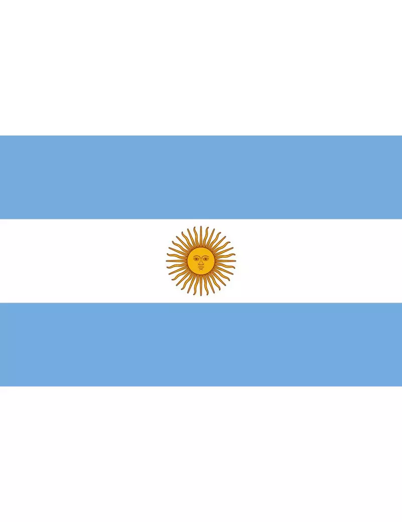 Bandiera - Argentina - 30x20 cm Bandiera - Argentina - 30x20 cm
