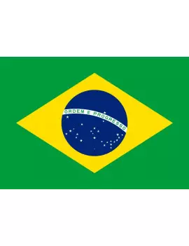 Bandiera - Brasile - 20x15 cm