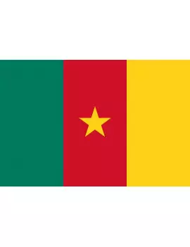 Bandiera - Camerun - 150x90 cm