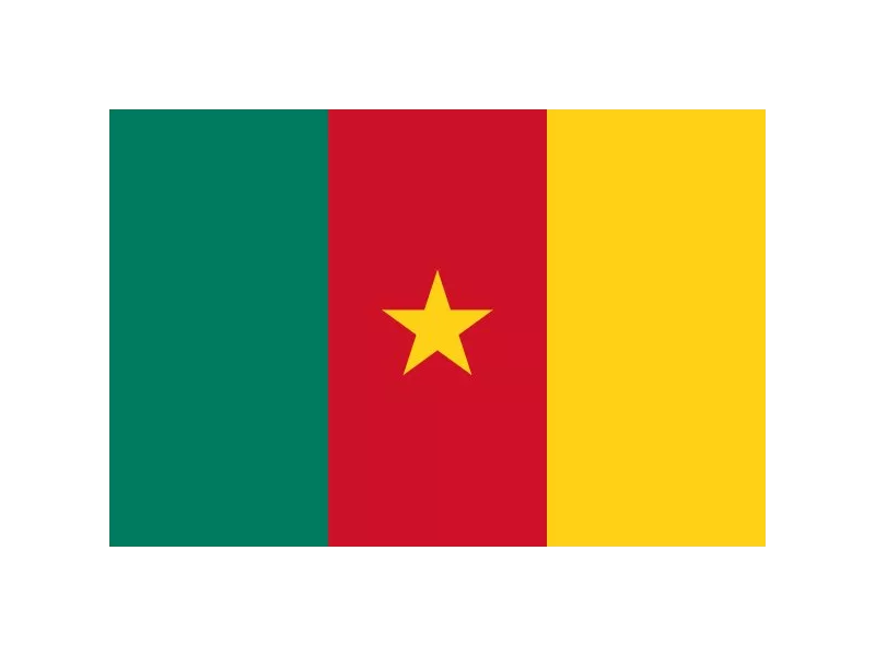 Bandiera - Camerun - 150x90 cm