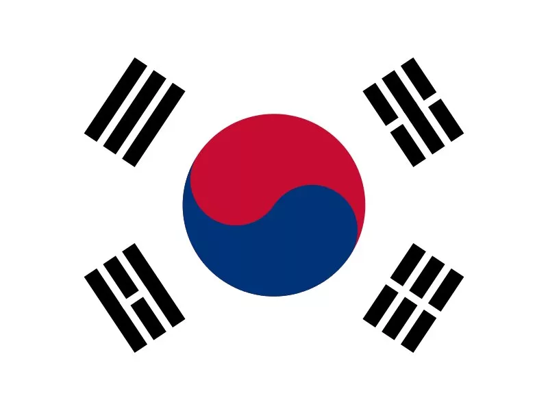 Bandiera - Corea del Sud - 30x20 cm