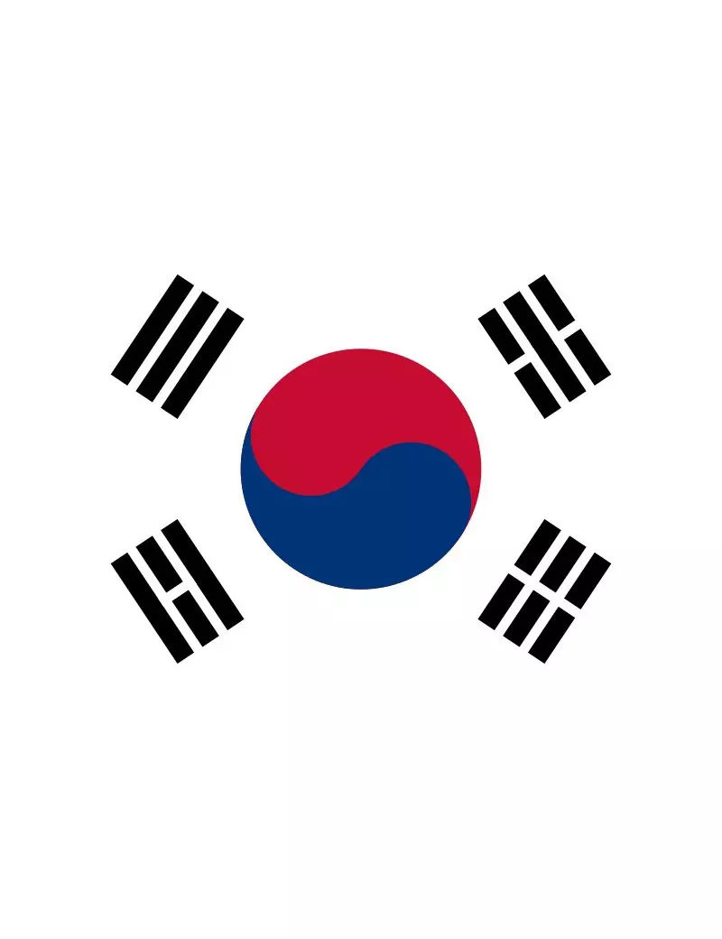 Bandiera - Corea del Sud - 30x20 cm
