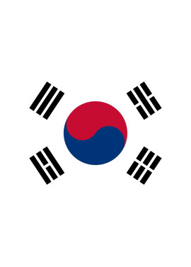 Bandiera - Corea del Sud - 30x20 cm