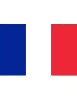 Bandiera - Francia 1M - 20x15 cm