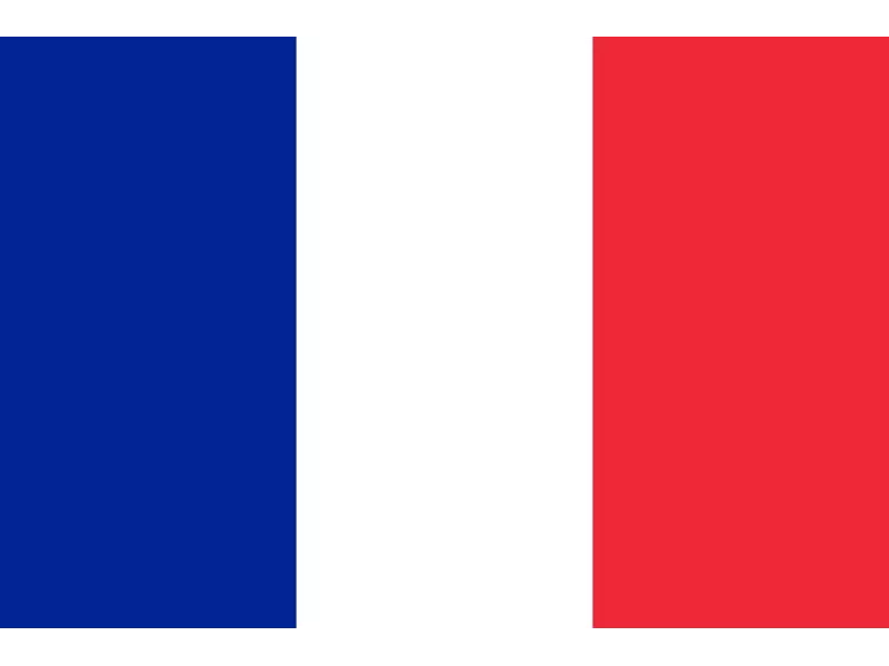 Bandiera - Francia 1M - 20x15 cm