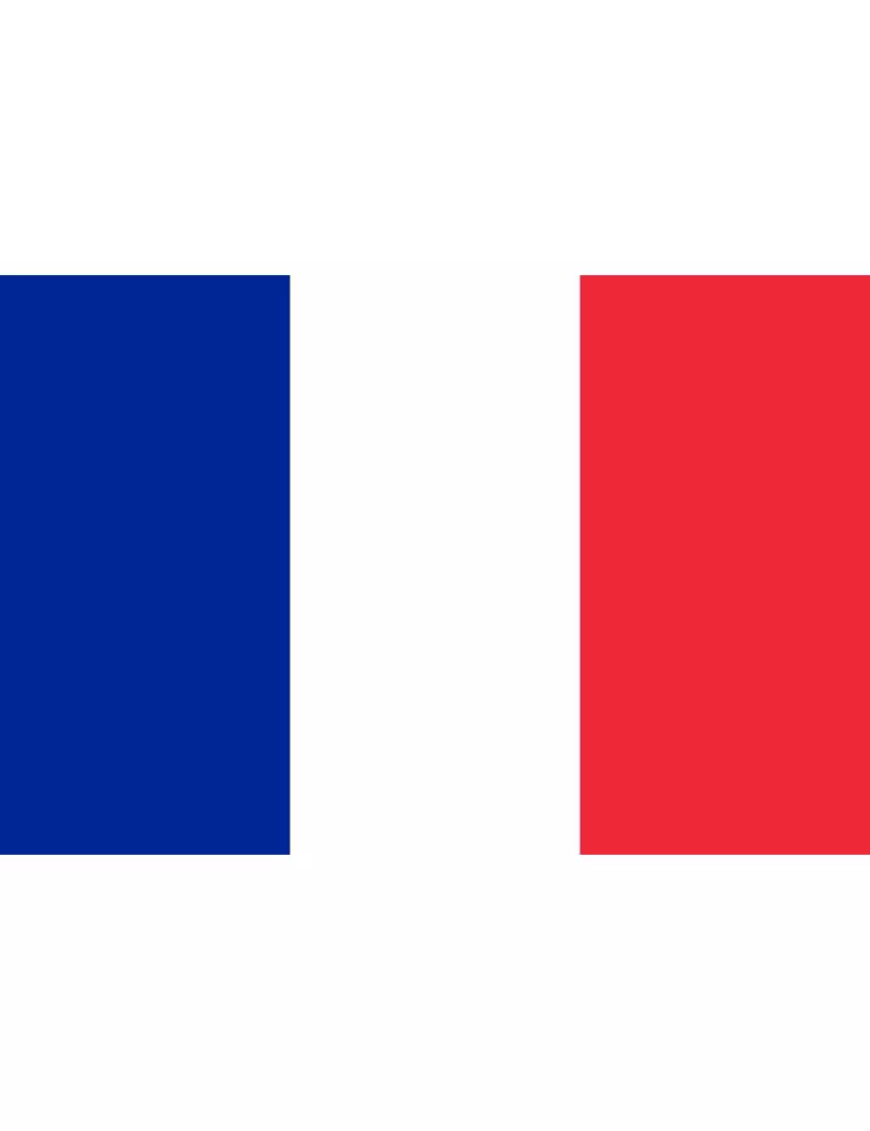 Bandiera - Francia 1M - 20x15 cm
