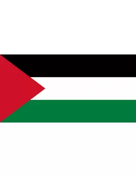 Bandiera - Palestina - 150x90 cm 