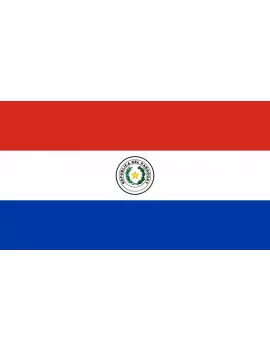 AZ Bandiera Paraguay 90x60cm Bandiera PARAGUAIANA 60 x 90 cm 