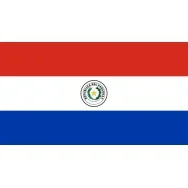 Bandiera - Paraguay - 150x90 cm 