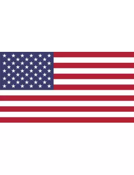 Bandiera - U.S.A. - 20x15 cm