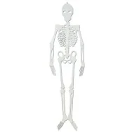 Scheletro - 75 cm - Fosforescente