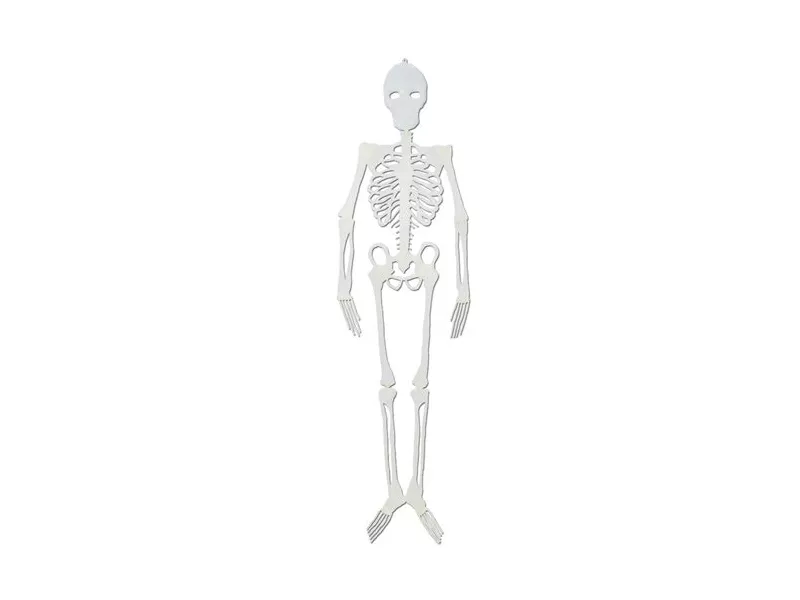 Scheletro - 75 cm - Fosforescente