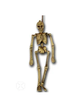 Scheletro - 40 cm