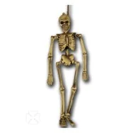 Scheletro - 40 cm