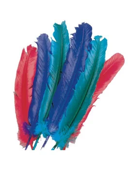 Piuma Singola (Conf. 10)