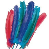 Piuma Singola (Conf. 10)