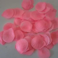 Petali di Rosa - Rosa