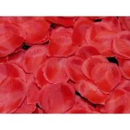 Petali di Rosa - Rosso