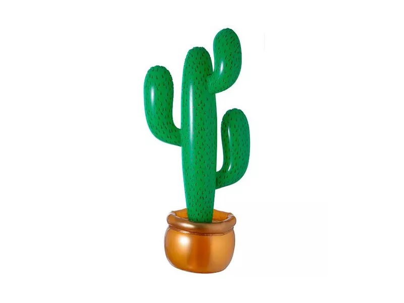 Cactus Gonfiabile con Vaso