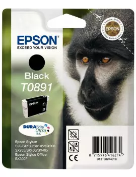 Cartuccia Originale Epson T089140 (Nero)