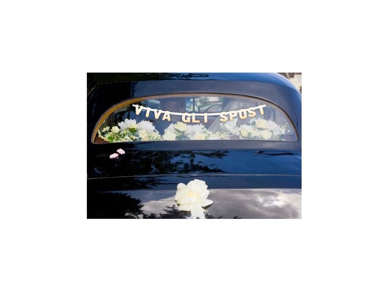 Festone per Auto Viva gli Sposi