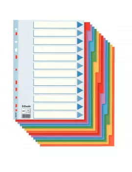 Intercalari in Cartoncino Esselte - A4 - 12