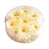 Margherite Decorative (Conf. 20)