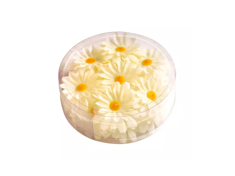 Margherite Decorative (Conf. 20)