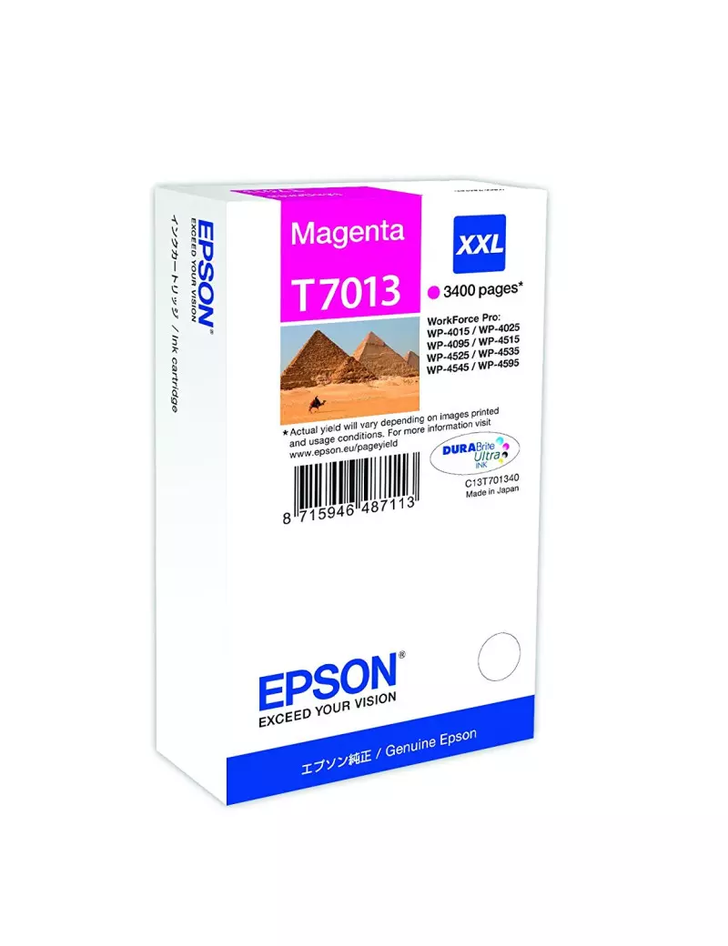 Cartuccia Originale Epson T701340 (Magenta 3400 pagine) Cartuccia Originale Epson T701340 (Magenta 3400 pagine)