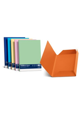 Cartellina 3 Lembi in Cartoncino Luce&Acqua Favini - 24,5x34,5 cm - 200 g - A50C434 (Scarlatto Conf. 25)